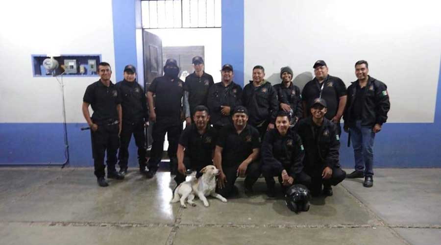 Envenenan a “perro policía” en Tilcajete