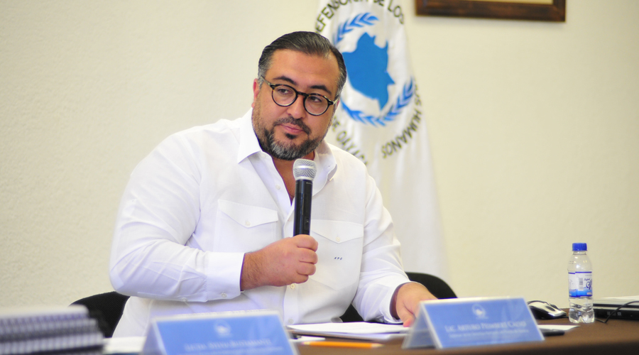 Senado elige a Peimbert en terna para dirigir la CNDH | El Imparcial de Oaxaca