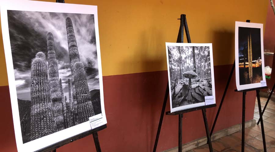 Acercan la Reserva de la Biósfera mediante la foto