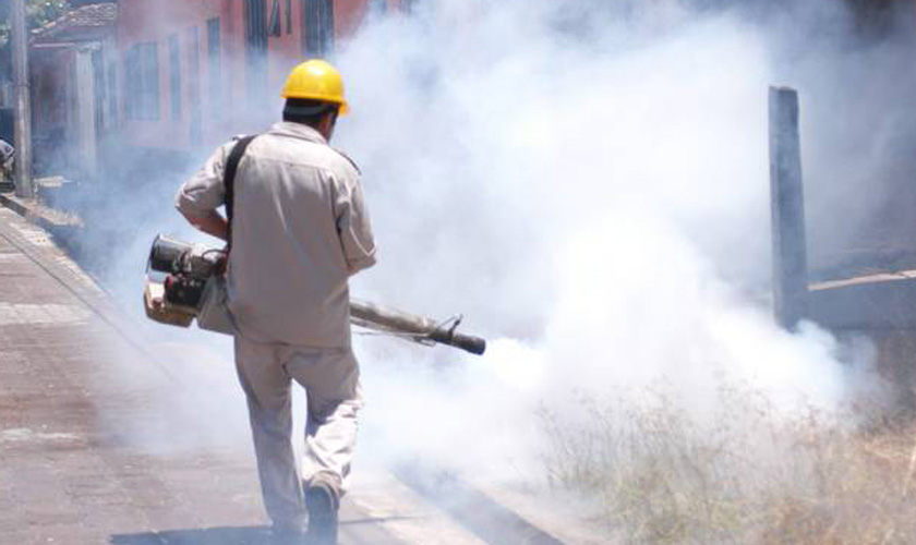 Registran 43 municipios de Oaxaca brote de dengue | El Imparcial de Oaxaca