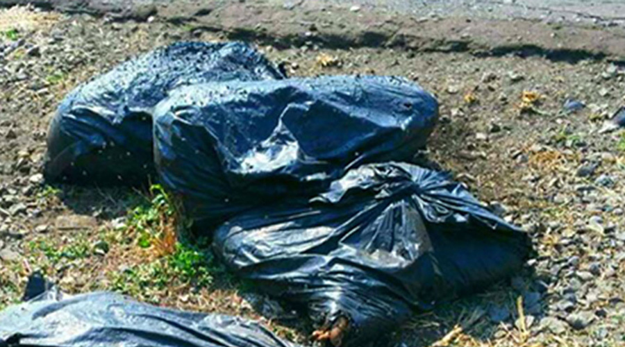 Encuentran bolsas de basura con restos humanos en Guerrero | El Imparcial de Oaxaca