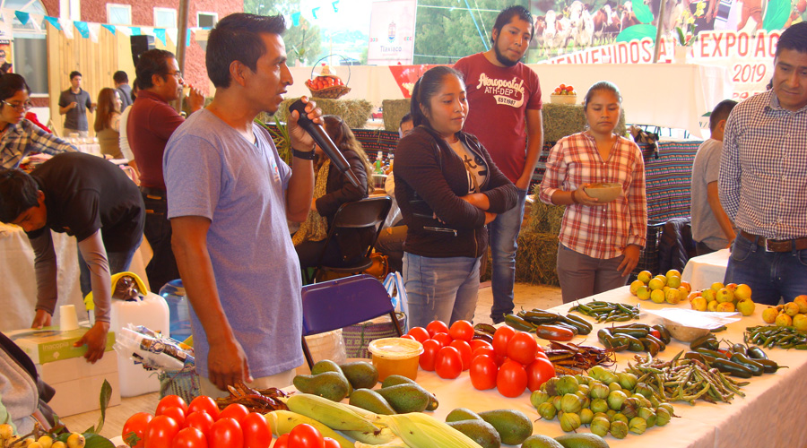 Producción de jitomate ha impedido migración en la Mixteca