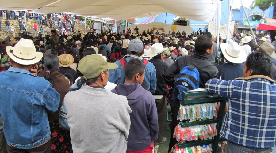 Preparan elecciones municipales en Mazatlán Villa de Flores | El Imparcial de Oaxaca