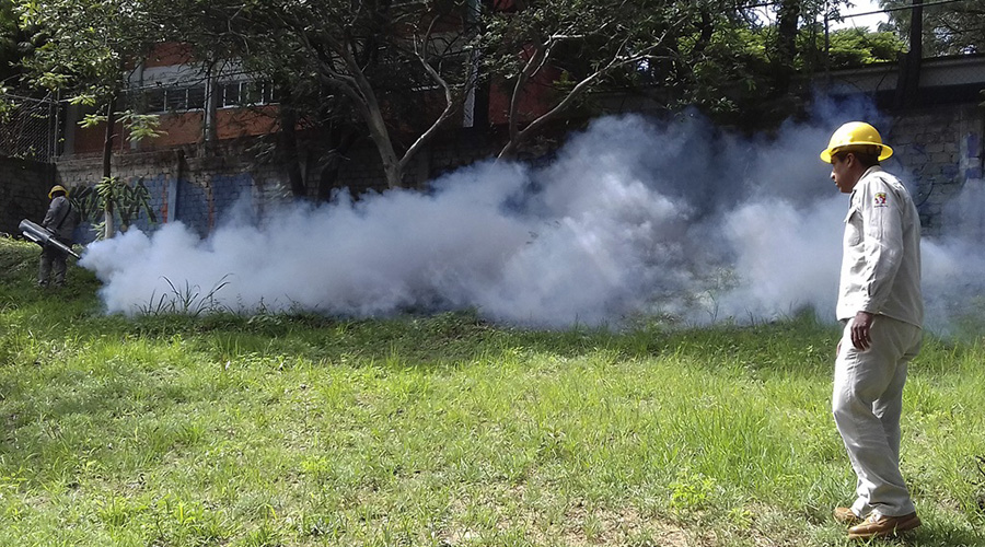 Reincidencia del dengue trae más complicaciones en Oaxaca | El Imparcial de Oaxaca