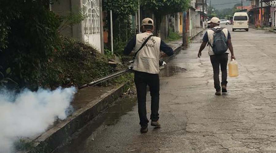 Piden continuidad a programas de prevención del dengue | El Imparcial de Oaxaca
