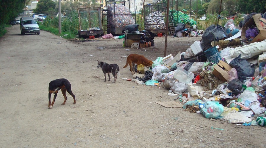 Exigen retirar el basurero municipal en colonia del Valle, Tlaxiaco