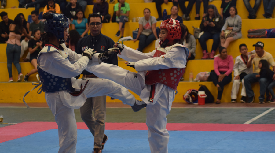 Definida la selección estatal de taekwondo