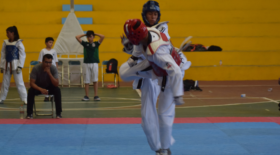Definida la selección estatal de taekwondo