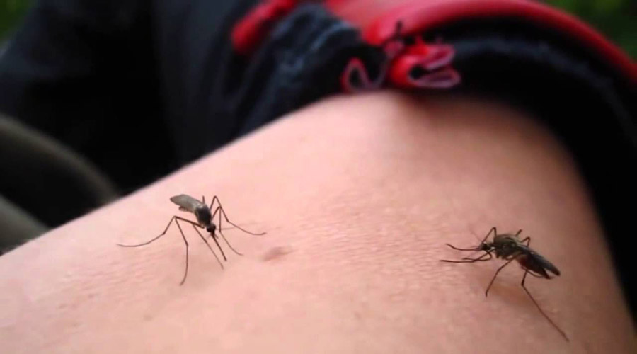 Saturan consultas en Oaxaca con síntomas de dengue | El Imparcial de Oaxaca