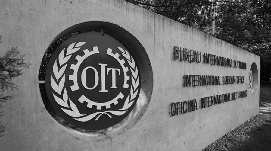 Sindicato de Trabajadores del Seguro Social acudirá a Suiza para denunciar genocidio laboral