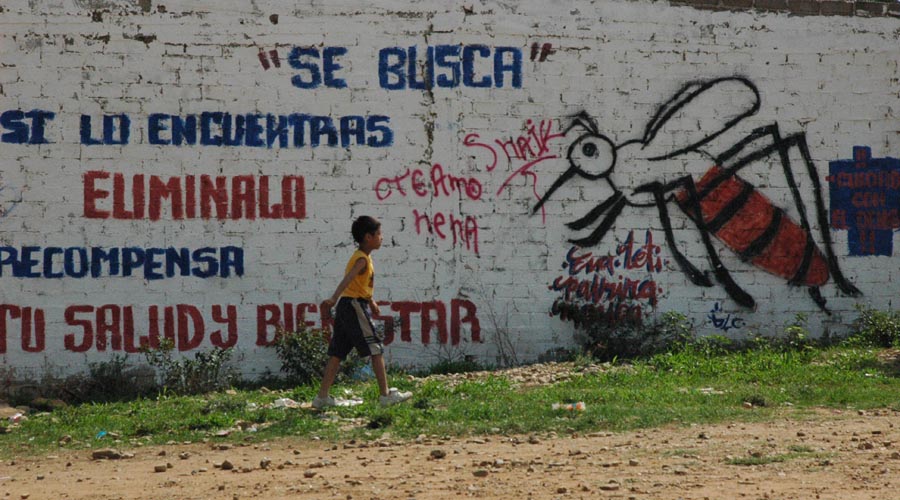 Encabeza Oaxaca los primeros por decesos de dengue e influenza | El Imparcial de Oaxaca