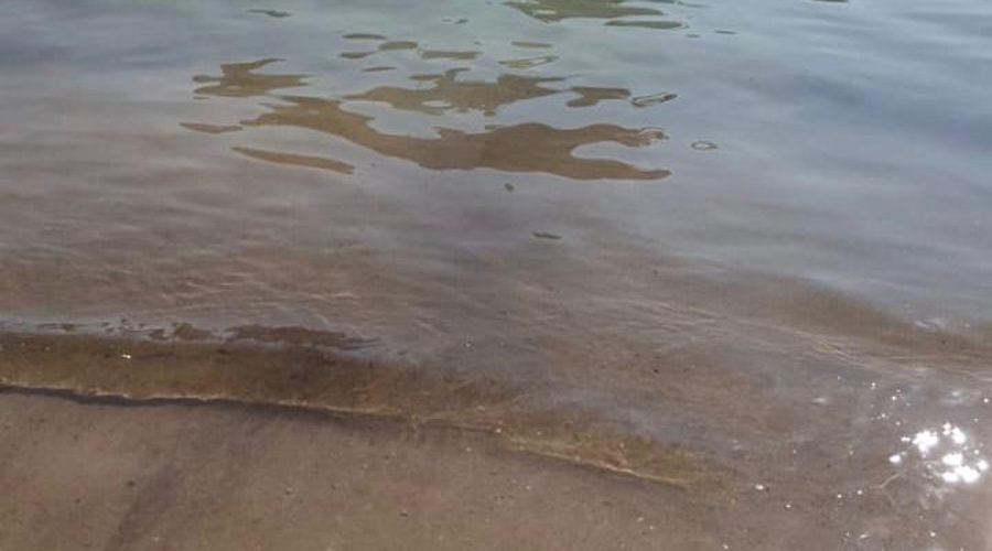 Algas invaden playas de Huatulco
