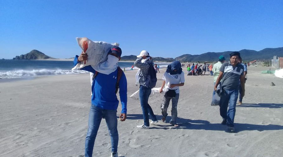 Sacan plástico de Playa Brasil en el Istmo | El Imparcial de Oaxaca