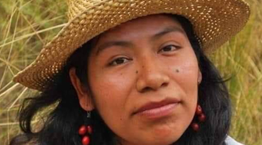 Denuncian desaparición de defensora de bosque | El Imparcial de Oaxaca