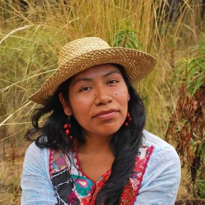 Buscan a joven ambientalista | El Imparcial de Oaxaca