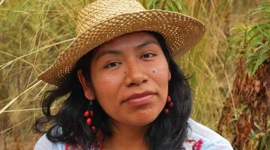 Solicitan medidas cautelares para activista de Atatlahuca | El Imparcial de Oaxaca
