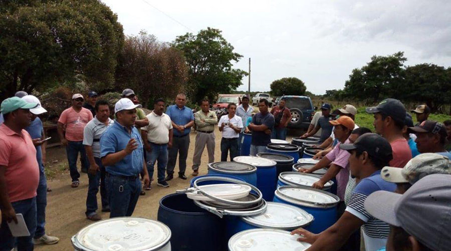 Pescadores recolectan 63 mil baterías en San Francisco Ixhuatán