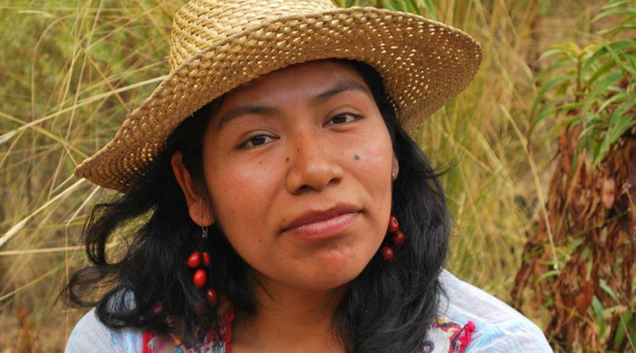 Demandan investigar paradero de activista | El Imparcial de Oaxaca