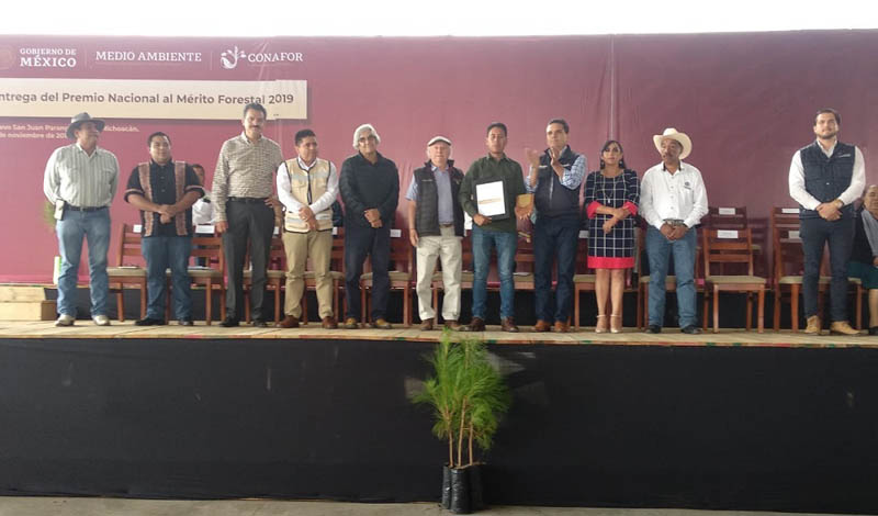 Premian Mérito Forestal de oaxaqueños | El Imparcial de Oaxaca