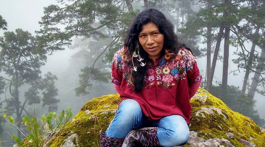 Sin confirmar, supuesta aparición de la ambientalista Irma Galindo | El Imparcial de Oaxaca
