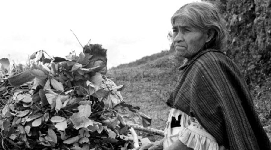 Este Día de Muertos recordamos a las oaxaqueñas que hicieron historia