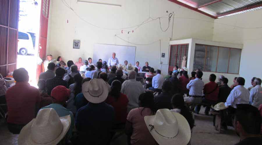 Apoyan a cafeticultores de Huautla | El Imparcial de Oaxaca
