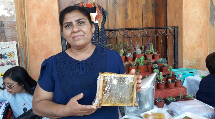 Impulsan la apicultura en la región Mixteca