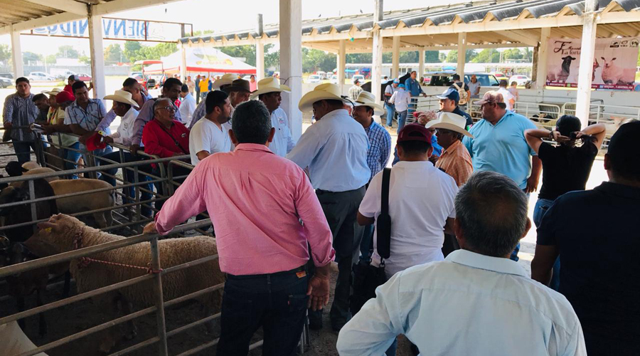 Realizan el primer tianguis agropecuario en Juchitán