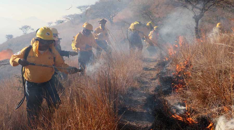 Será crítica temporada de incendios en 2020 | El Imparcial de Oaxaca