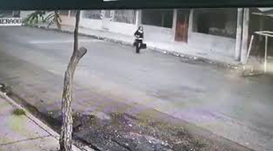 Video: Perros enfrentan a ladrón armado y salvan a mujer de un asalto