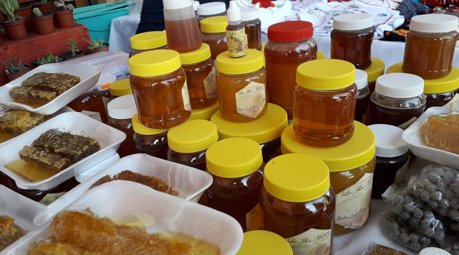 Impulsan la apicultura en la región Mixteca