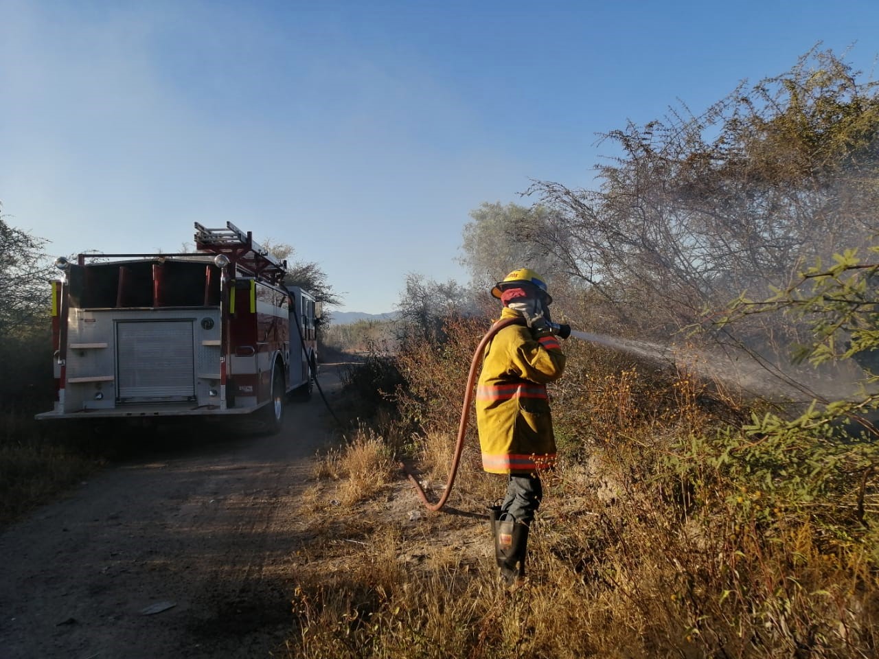 Se incendian pastizales | El Imparcial de Oaxaca