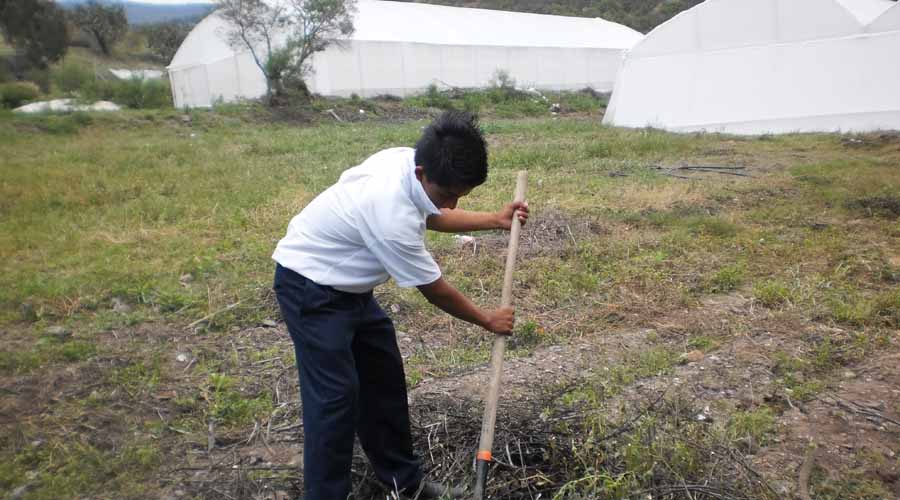 Adolescentes consumen más alcohol en Oaxaca