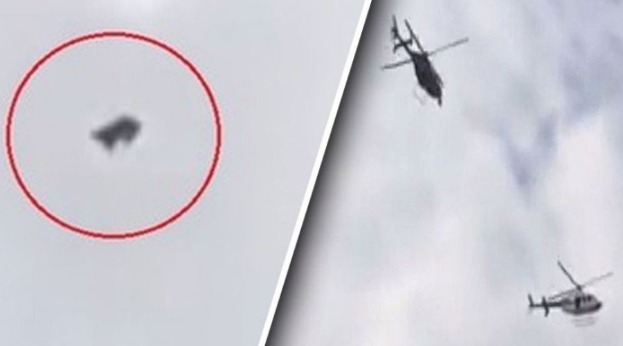 Video: Captan momento desgarrador arrojan borrego desde un helicóptero en pleno vuelo