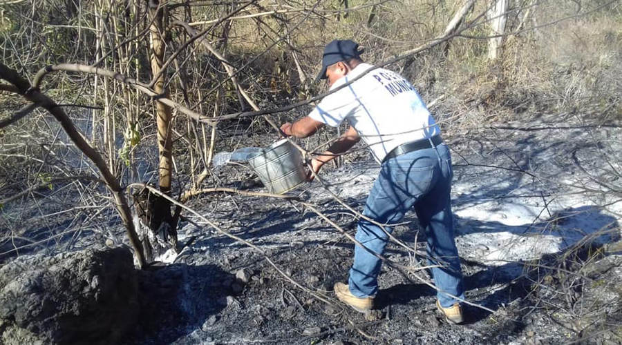 Aumento de incendios alarma a la población del Istmo de Oaxaca