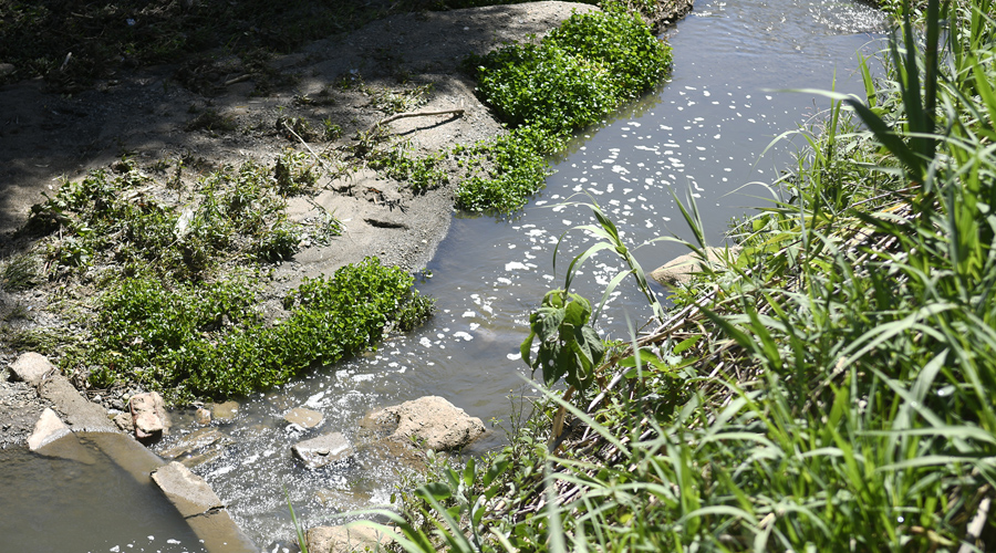 Piden frenar violencia contra ciclo del agua | El Imparcial de Oaxaca