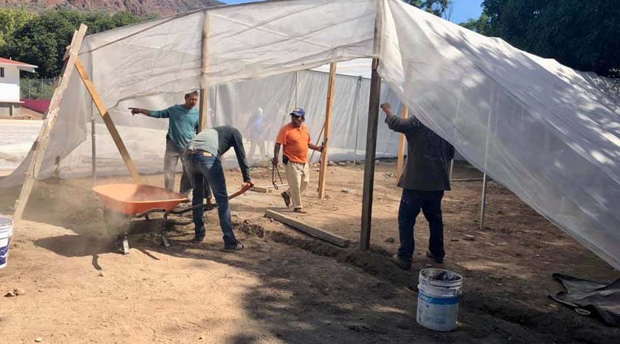 Construyen vivero municipal en San Juan Bautista Cuicatlán | El Imparcial de Oaxaca