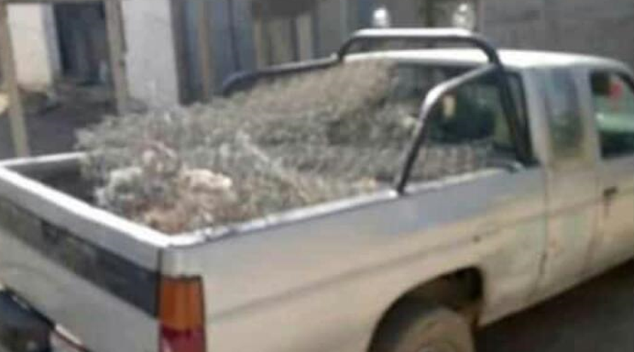 Reportan robo de camioneta en San Agustín de las Juntas | El Imparcial de Oaxaca