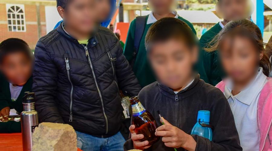 Reusan y promueven hermandad con niños de Santa Cruz Itundujia | El Imparcial de Oaxaca