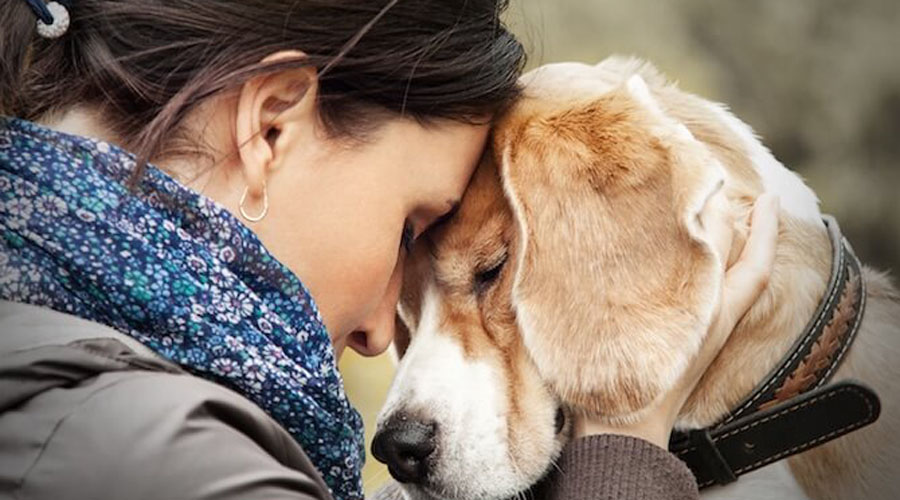 Tener de mascota a un perro puede ayudarte a prevenir enfermedades priónicas | El Imparcial de Oaxaca