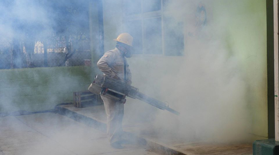 Refuerzan acciones para prevenir los brotes de dengue en Tehuantepec | El Imparcial de Oaxaca