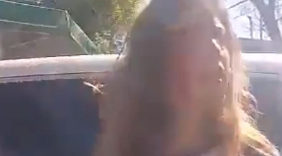 Video: Una mujer atropella a dos adultos y una niña en zona escolar