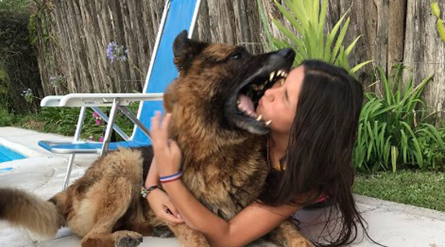 Quería selfie con su perro y le salió caro | El Imparcial de Oaxaca