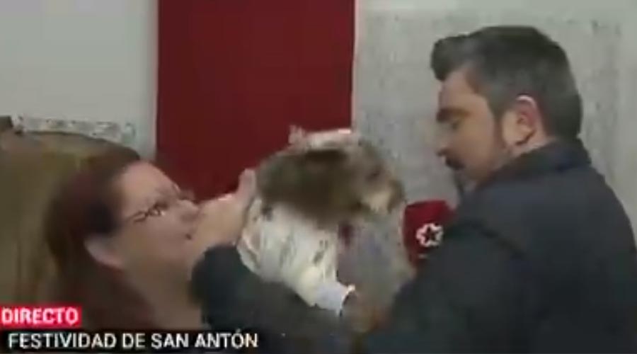 Video: Perro muerde a reportero durante transmisión en vivo