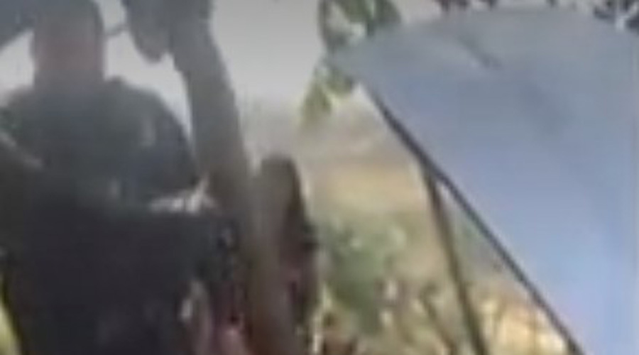Video: Descubre enorme boa en cofre de su vehículo en Puerto Vallarta, Jalisco | El Imparcial de Oaxaca