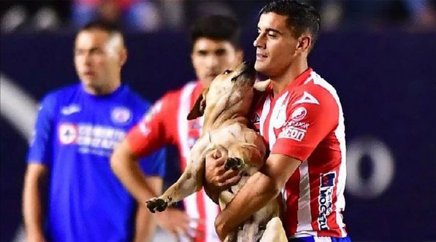 Video: perrito se cuela a cancha de partido y da suerte al San Luis | El Imparcial de Oaxaca