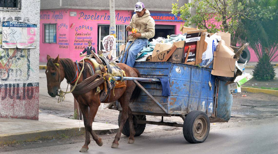 Video: caballo es obligado con golpes a arrastrar carreta con peso extremo | El Imparcial de Oaxaca