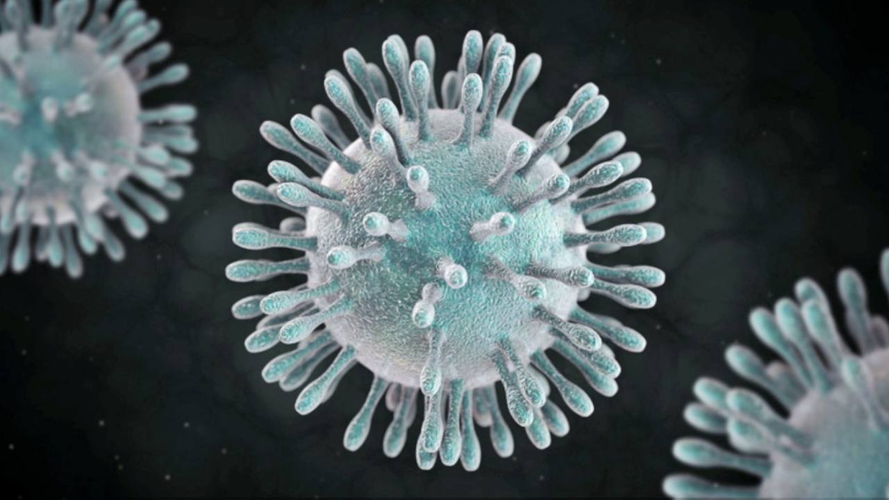 Reportan primer caso de coronavirus curado en China | El Imparcial de Oaxaca