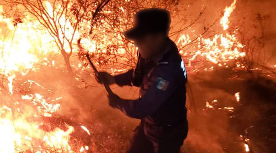 Incendio en Tocuela | El Imparcial de Oaxaca