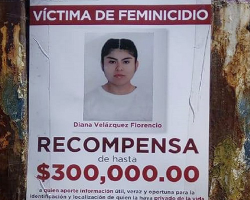 Diana fue violada y asesinada en Edomex | El Imparcial de Oaxaca